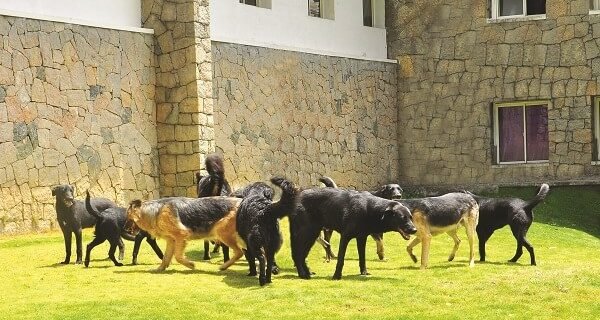 Discipline and Safety – Security Discipline and Safety - Security